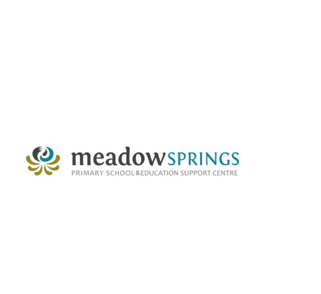 Mockups – Meadow Springs Primary School